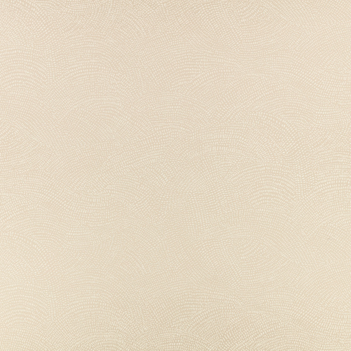 Romo Nivu Rice Paper
