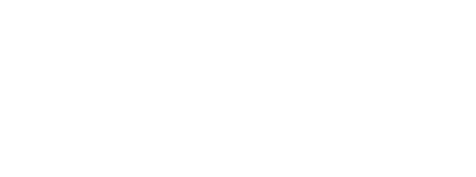 Logo D•POT design network