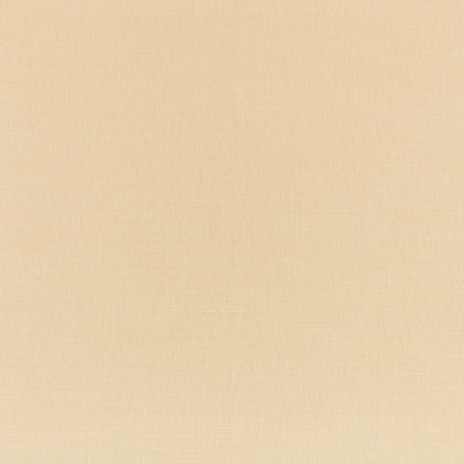 Tessuto Linara Romo Butterbean — campione Campione del tessuto Linara di Romo nella colorazione Butterbean, codice 2494/110: un beige chiaro dal tono caldo, misto lino in tinta unita alto 140 cm.
