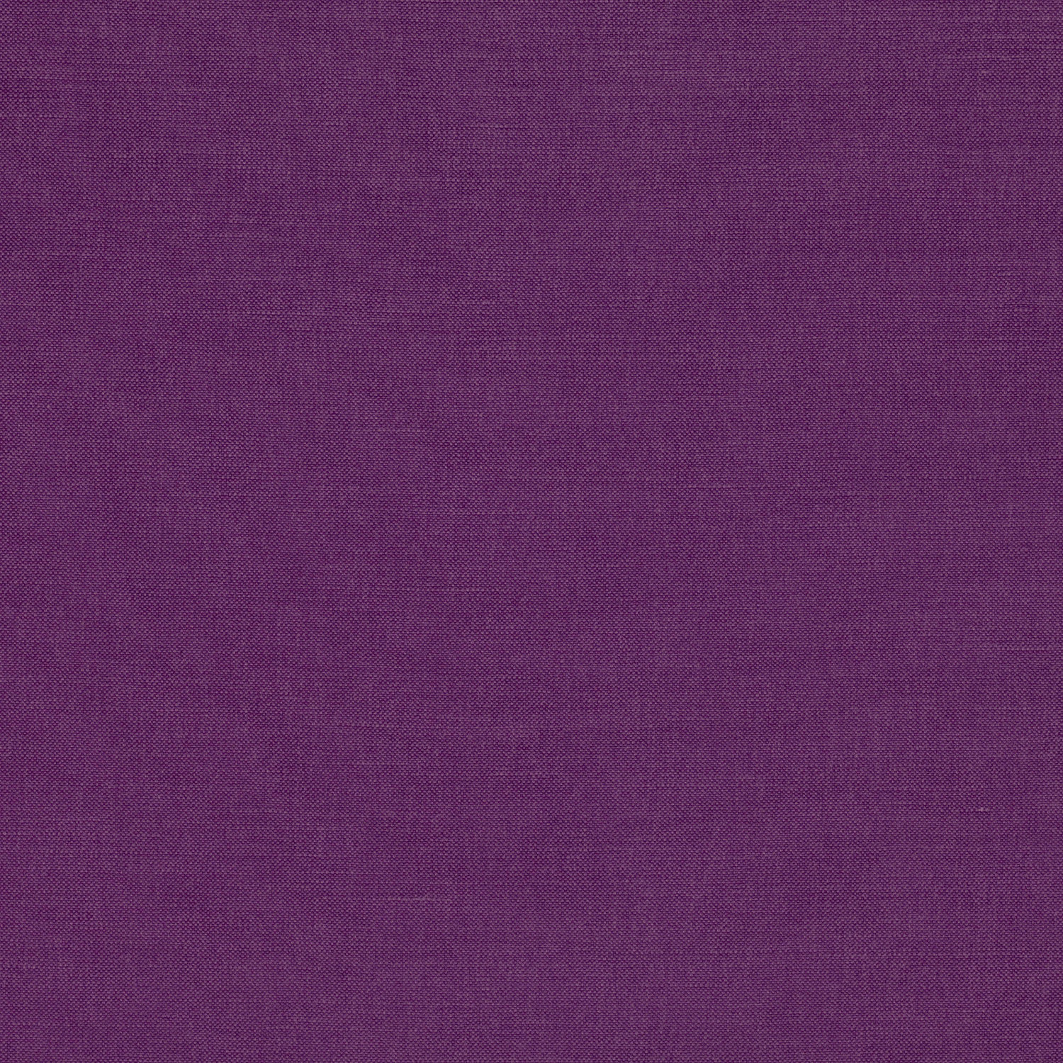 Tessuto Linara Romo Crocus — campione Campione del tessuto Linara di Romo nella colorazione Crocus, codice 2494/157: un viola profondo, misto lino in tinta unita alto 140 cm.