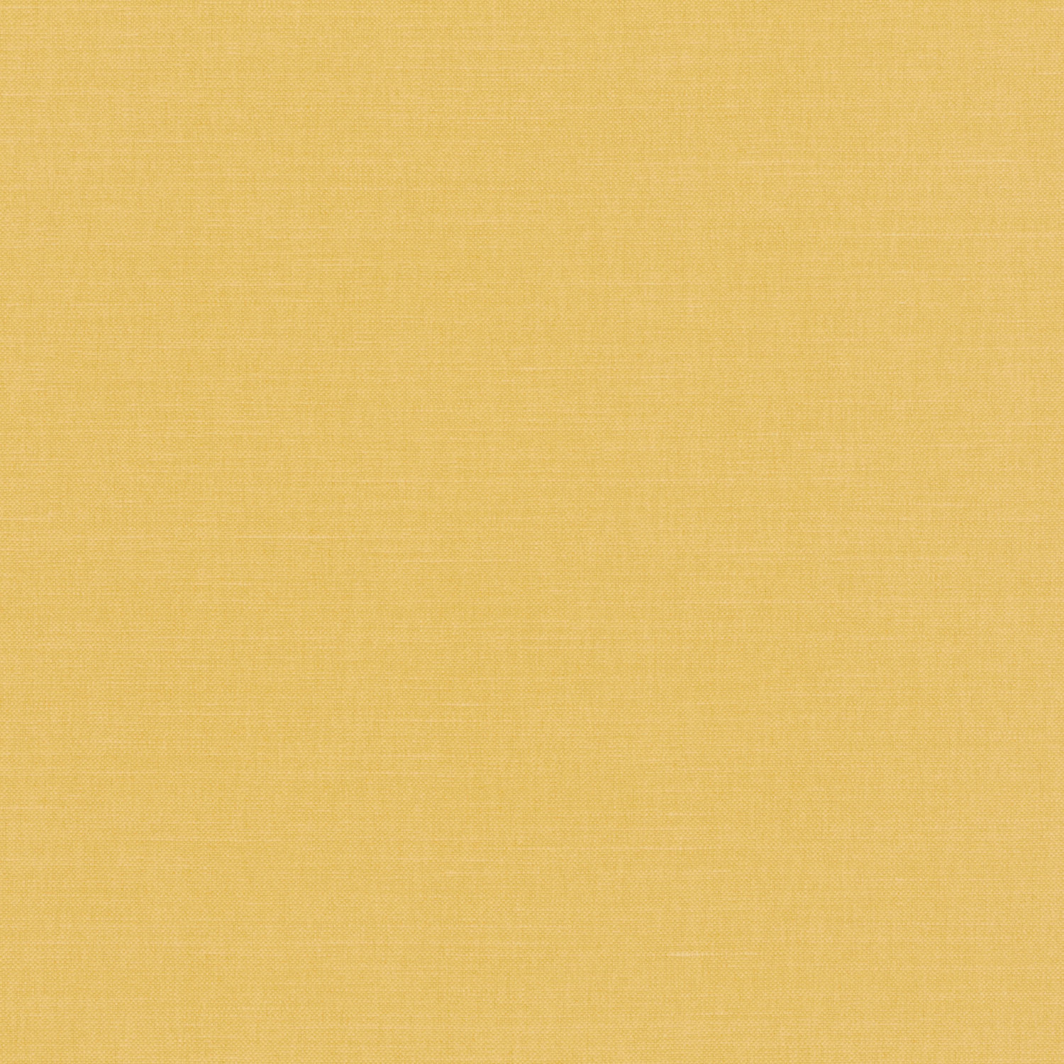 Tessuto Linara Romo Turmeric — campione Campione del tessuto Linara di Romo nella colorazione Turmeric, codice 2494/178: un giallo chiaro dal colore intenso, misto lino in tinta unita alto 140 cm.