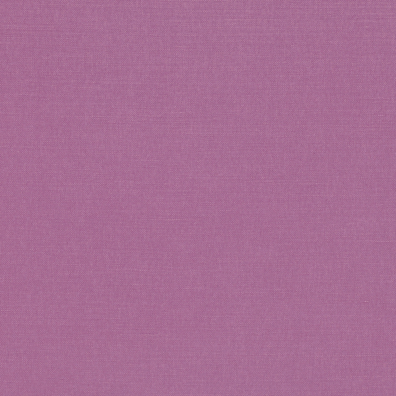 Tessuto Linara Romo Violet — campione Campione del tessuto Linara di Romo nella colorazione Violet, codice 2494/183: un viola scuro, misto lino in tinta unita alto 140 cm.