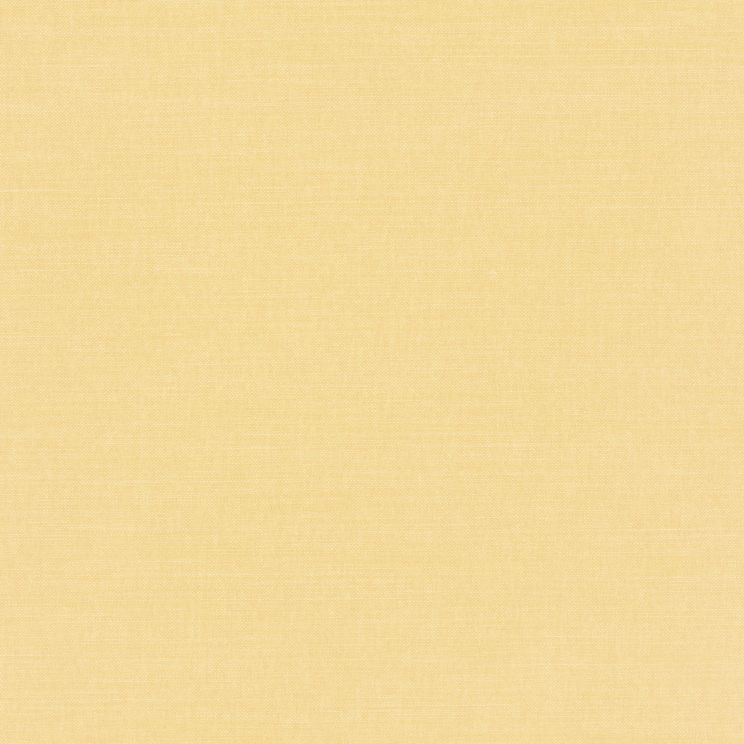 Tessuto Linara Romo Butternut — campione Campione del tessuto Linara di Romo nella colorazione Butternut, codice 2494/346: un verde chiaro, misto lino in tinta unita alto 140 cm.