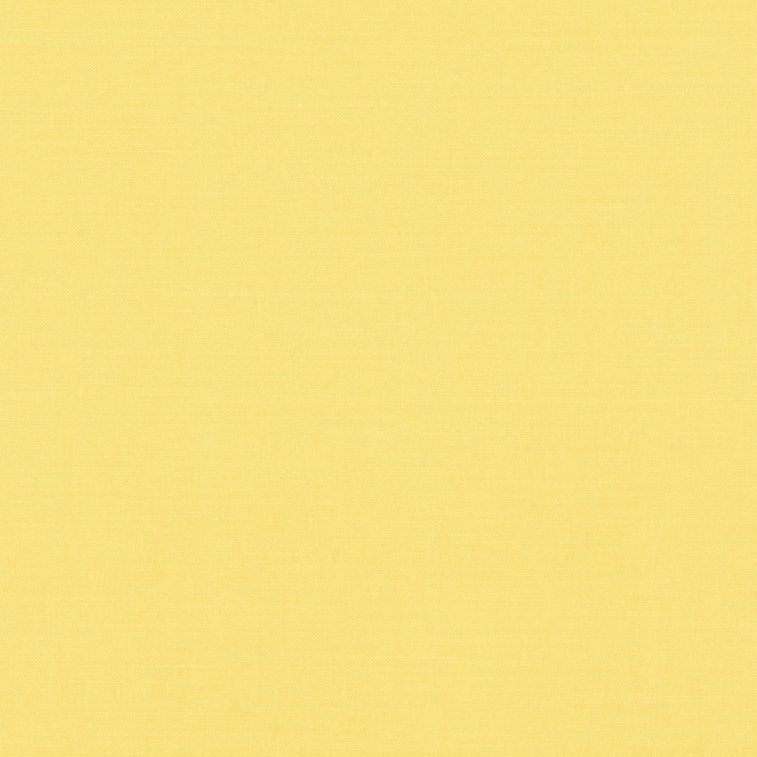 Tessuto Linara Romo Daffodil — campione Campione del tessuto Linara di Romo nella colorazione Daffodil, codice 2494/350: un verde chiarissimo dal colore intenso, misto lino in tinta unita alto 140 cm.