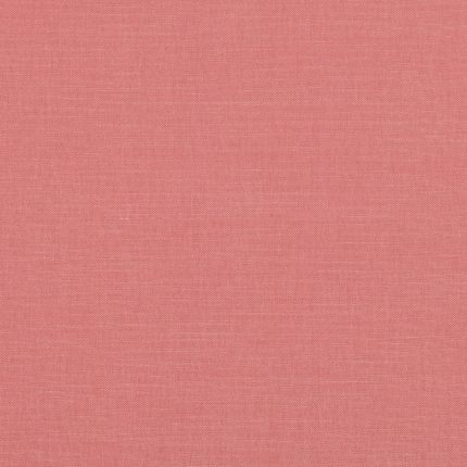 Sorbet