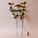 Set di due rami luminosi di agrifoglio con portabatterie e cavo, appoggiati a una parete