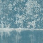 Tessuto Mizumi di Black Edition, collezione Mizumi, colorazione Viridian 9090/02
