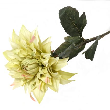 Dalia XL artificiale verde pistacchio su fondo bianco: grande fiore a petali appuntiti e sfumati, con foglie verde scuro