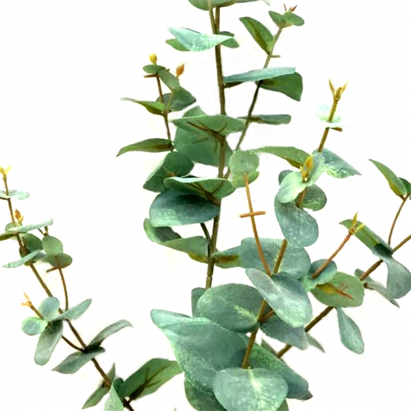 Dettaglio delle foglie tonde del ramo di eucalipto artificiale verde