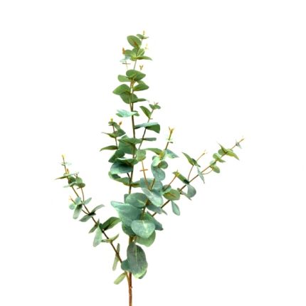 Ramo di eucalipto artificiale verde lungo 100 cm su fondo bianco: stelo ramificato con foglie tonde verde grigio