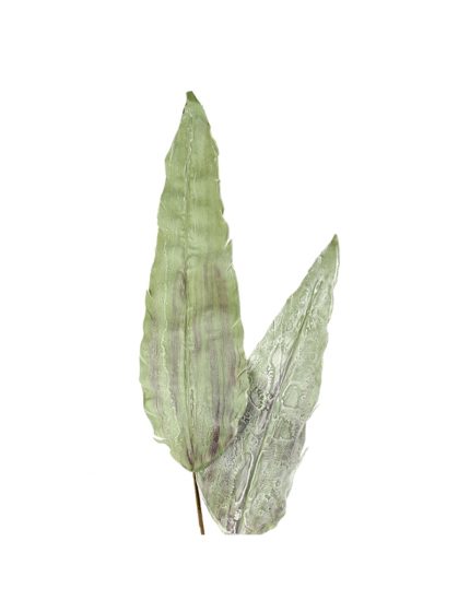 Due foglie di strelitzia artificiali affiancate su fondo bianco, per mostrare la composizione