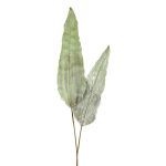 Foglia di strelitzia artificiale lunga 112 cm su fondo bianco: stelo lungo e lamina verde chiaro sfrangiata, con nervature a vista