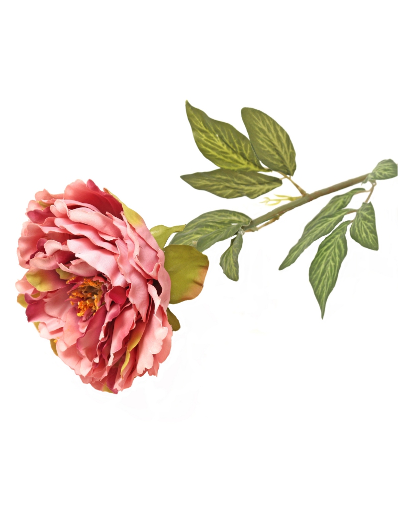 Peonia artificiale rosa antico con stelo lungo 86 cm su fondo bianco: grande fiore aperto a petali fitti e foglie verdi lungo lo stelo