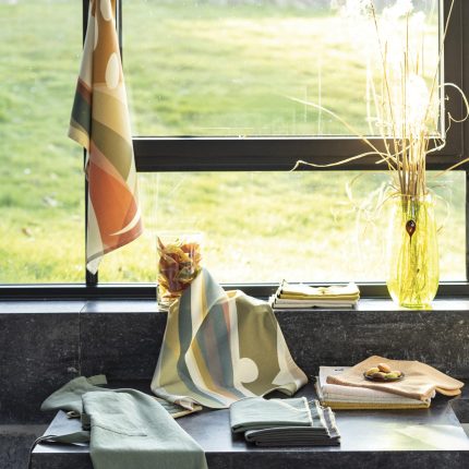 Canovaccio Revao in una cucina, in una scena d’ambientazione; gli altri oggetti della scena non sono compresi