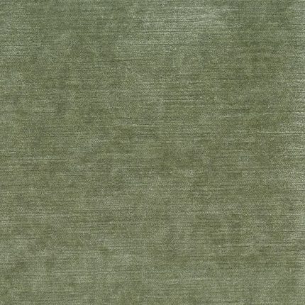 Lichen
