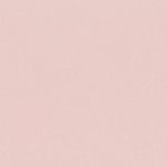 Campione del velluto Barcelona di Villa Nova nella colorazione Blossom: rosa cipria, tinta unita in doppia larghezza 295 cm.