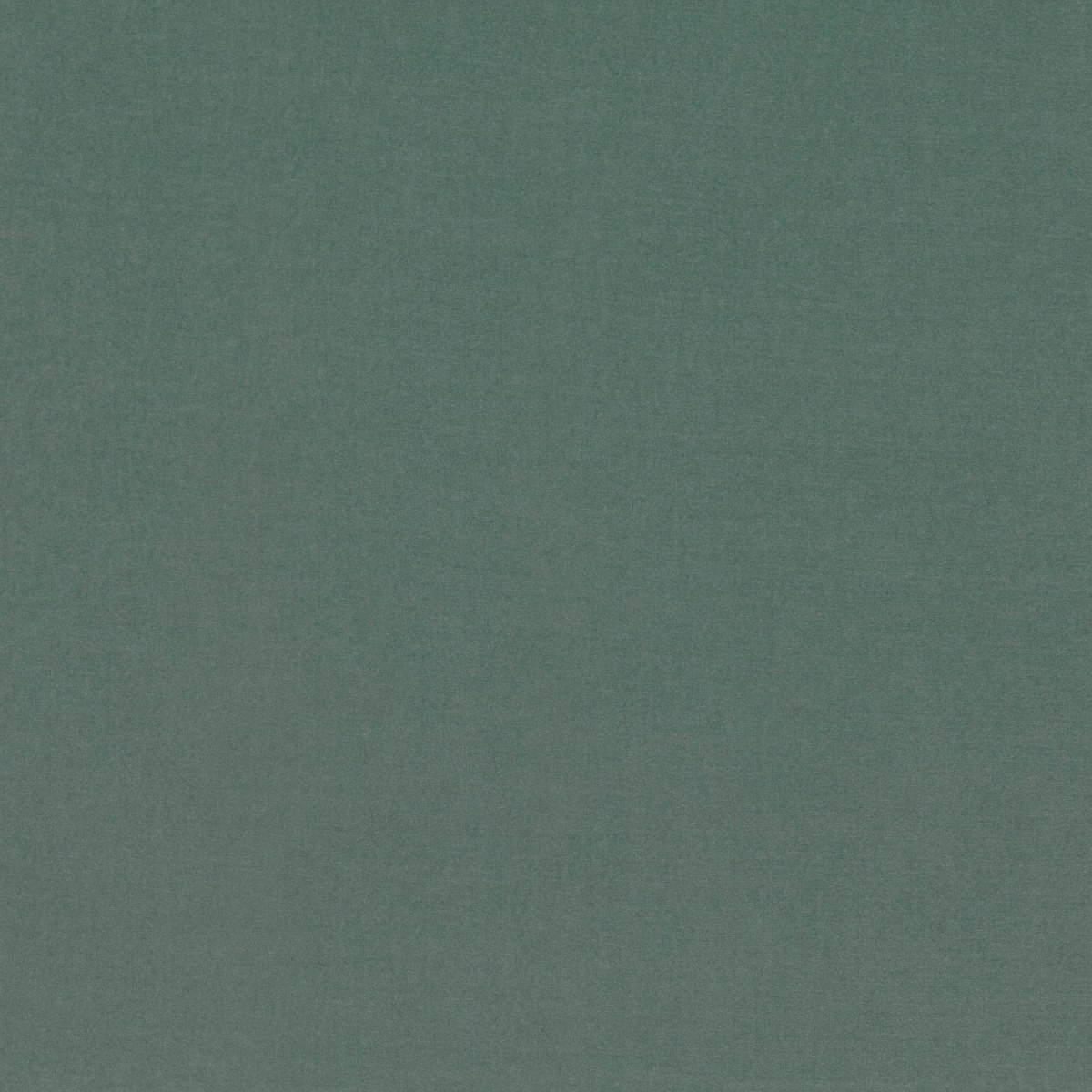 Campione del velluto Barcelona di Villa Nova nella colorazione Fir: verde abete profondo, con un sottotono grigio, tinta unita in doppia larghezza 295 cm.