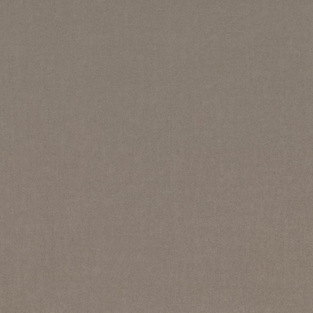 Velluto Barcelona Villa Nova Granite — campione Campione del velluto Barcelona di Villa Nova nella colorazione Granite: grigio talpa, tinta unita in doppia larghezza 295 cm.
