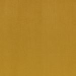 Campione del velluto Barcelona di Villa Nova nella colorazione Marram: ocra dorato, tinta unita in doppia larghezza 295 cm.