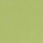 Campione del velluto Barcelona di Villa Nova nella colorazione Matcha: verde tè matcha, tinta unita in doppia larghezza 295 cm.