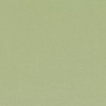 Campione del velluto Barcelona di Villa Nova nella colorazione Rosemary: verde rosmarino, tinta unita in doppia larghezza 295 cm.