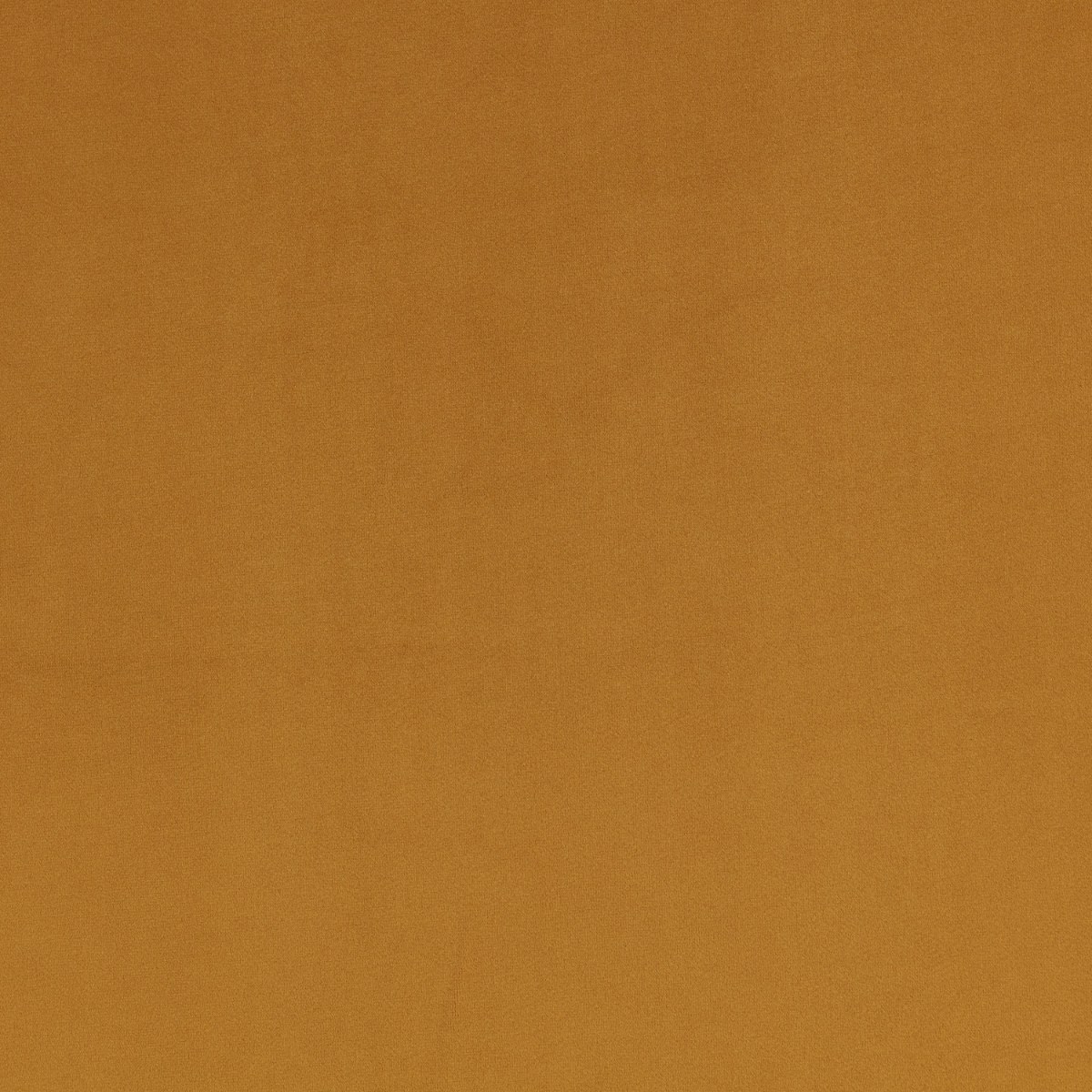 Velluto Barcelona Villa Nova Tumeric — campione Campione del velluto Barcelona di Villa Nova nella colorazione Tumeric: giallo curcuma, tinta unita in doppia larghezza 295 cm.