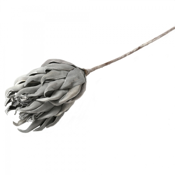 Fiore artificiale Vetplant grigio piombo su fondo bianco: grande infiorescenza a brattee appuntite su uno stelo lungo 80 cm